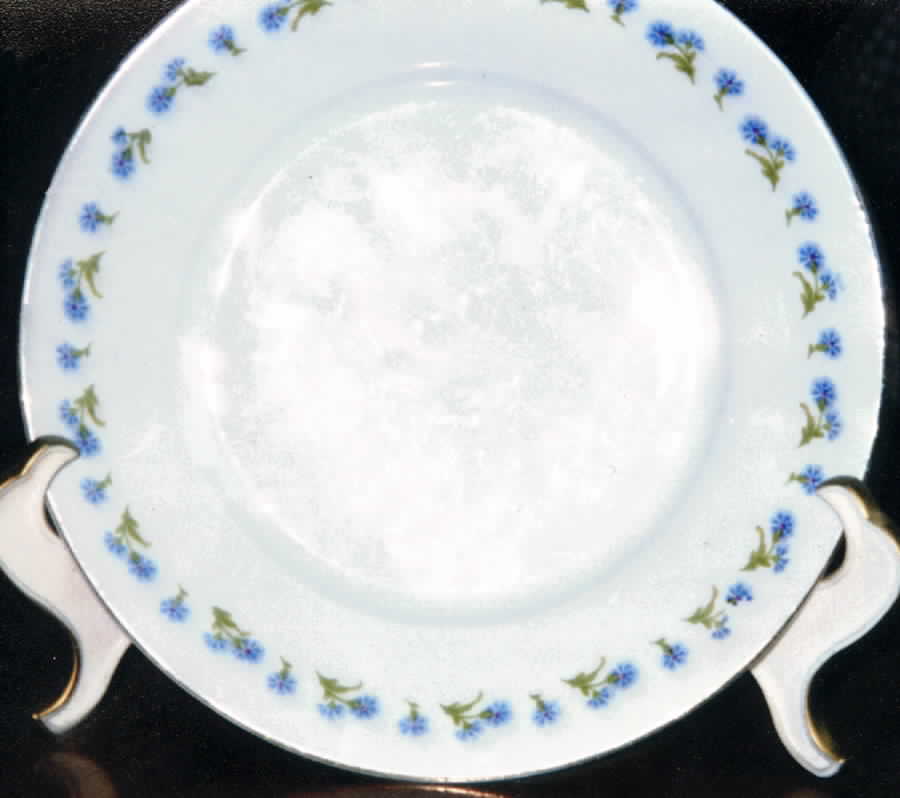 BAV59 Dinner Plate by Bavaria-1