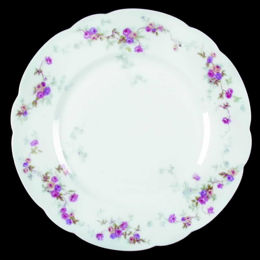 BER186 Dinner Plate by Bernardaud-1