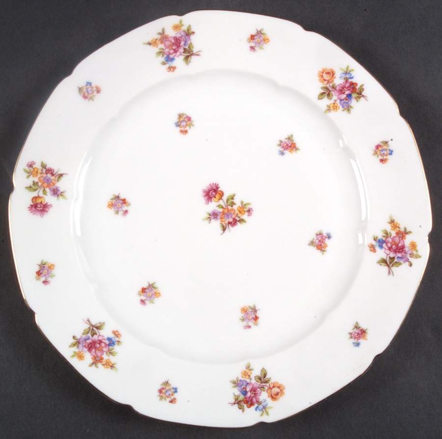 BAR28 Dinner Plate by Baronet-1