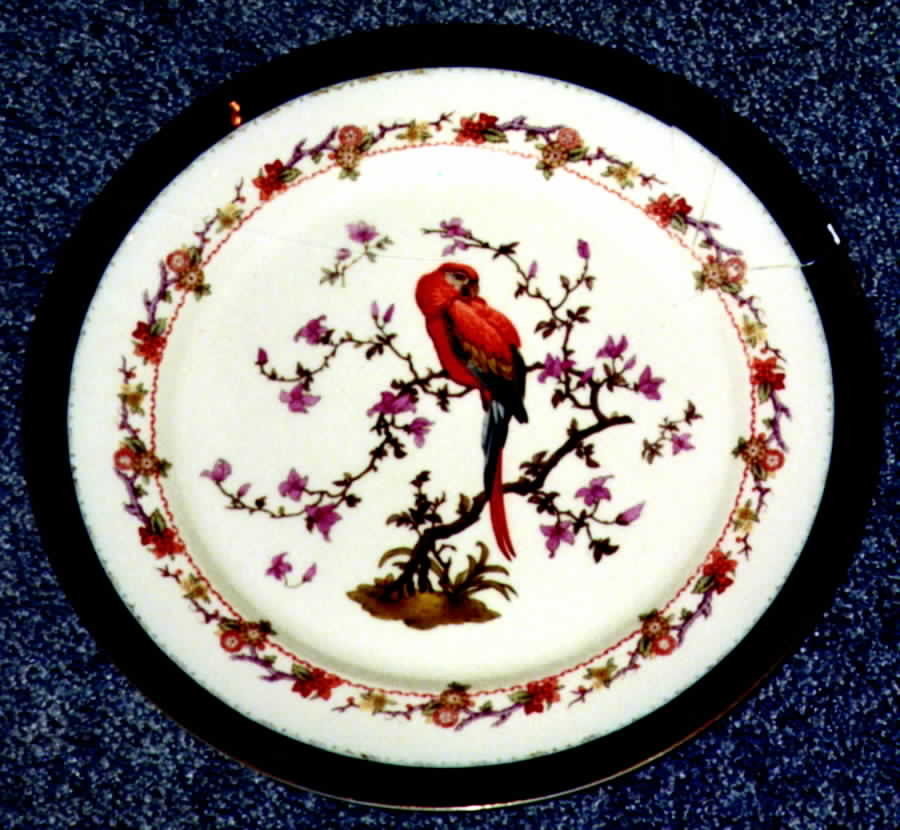 BAV60 Dinner Plate by Bavaria-1