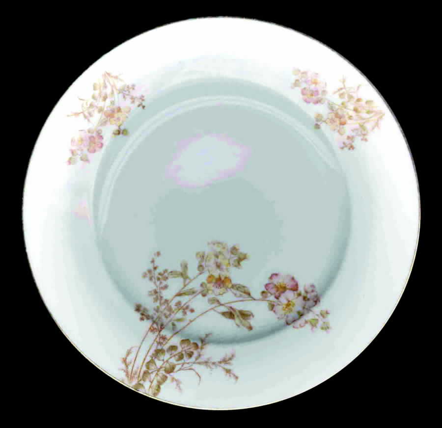 Bwd209 (Gold Trim) Salad Plate by Bawo & Dotter-1