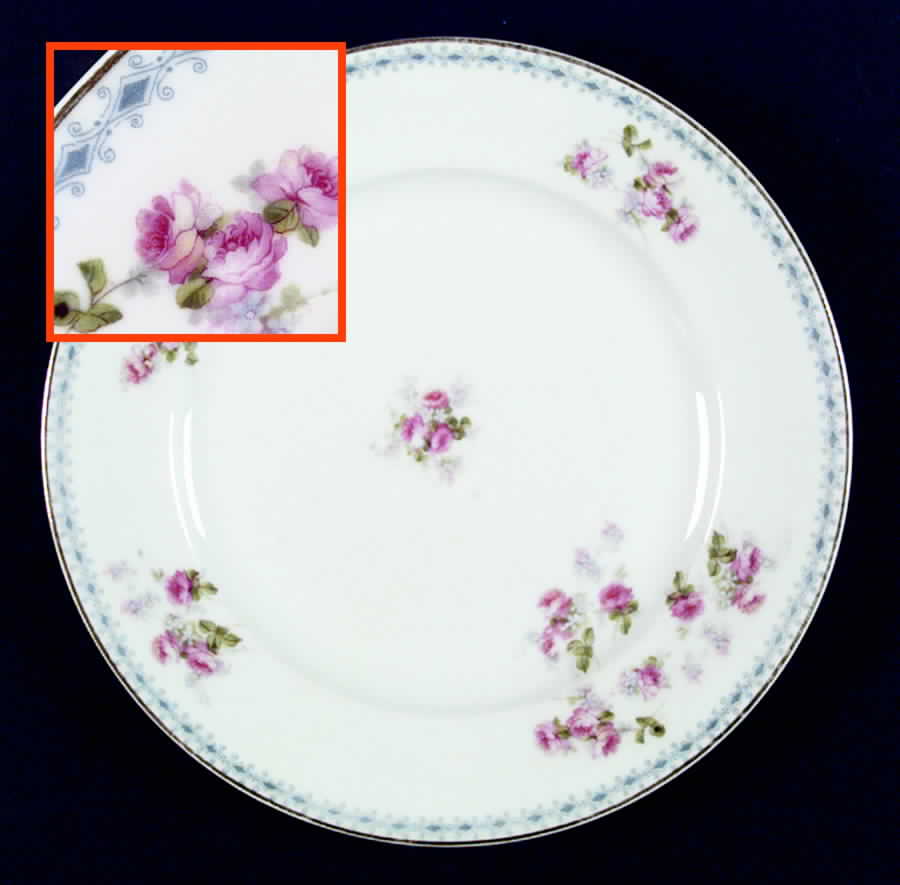 BSS37 Dinner Plate by Bassett-1