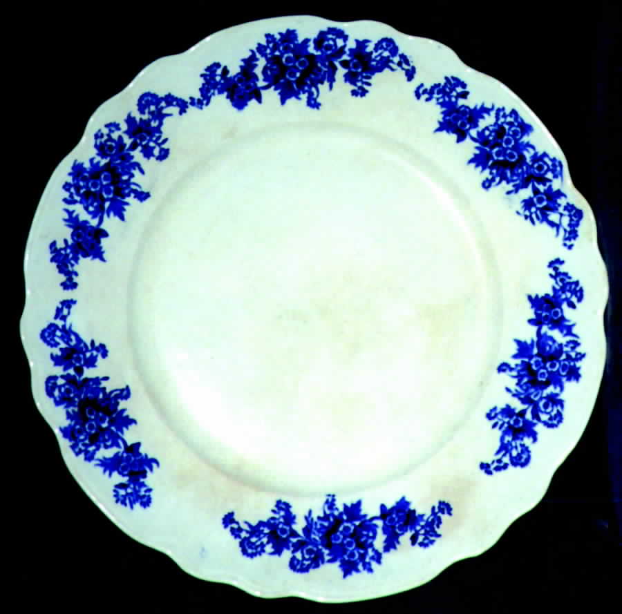 BUF56 Dinner Plate by Buffalo Pottery-1