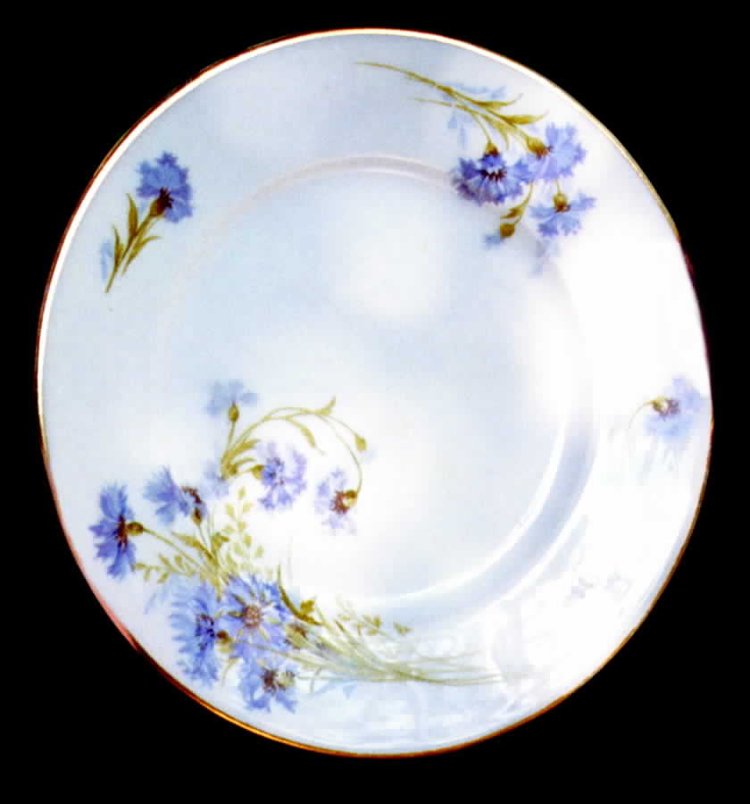 BWD216 Dinner Plate by Bawo & Dotter-1