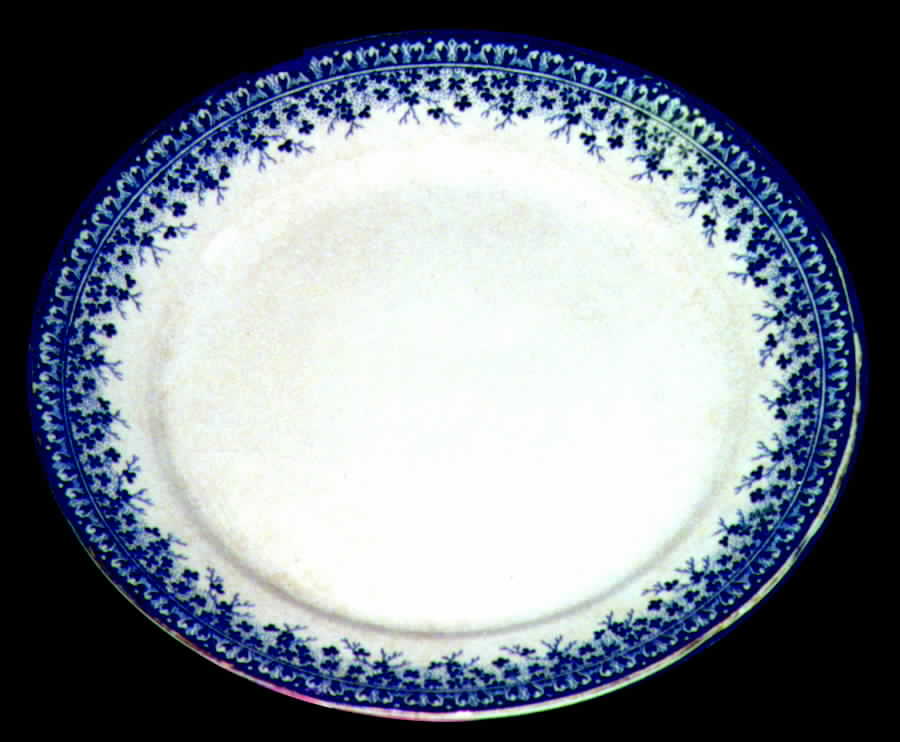 Ayr Dinner Plate by Brownfield-1