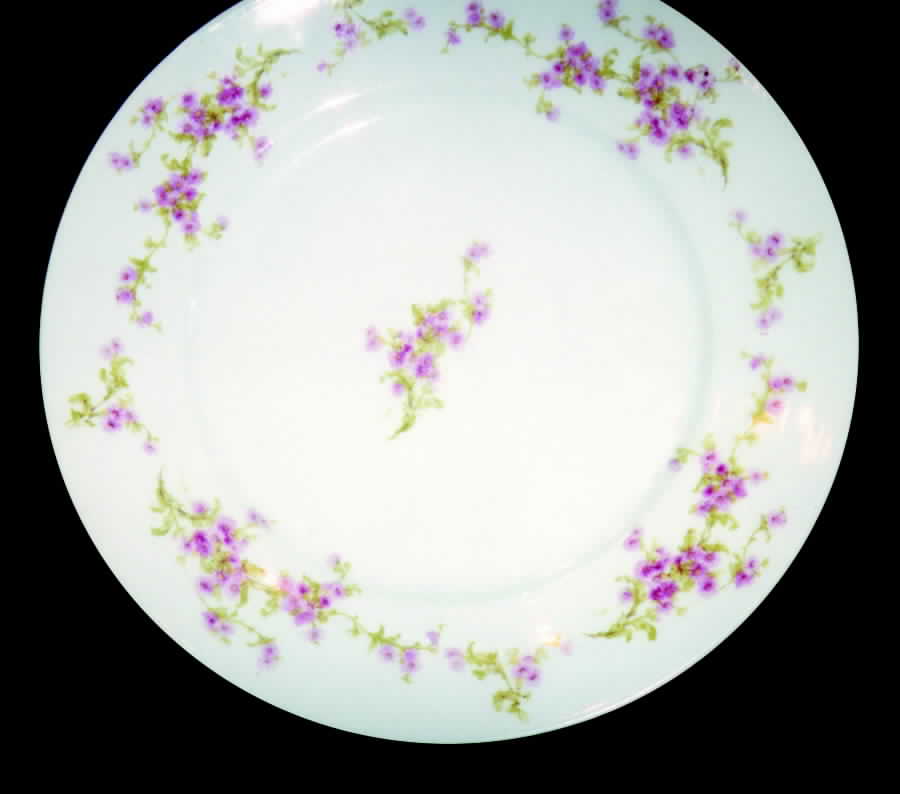 BWD219 Dinner Plate by Bawo & Dotter-1