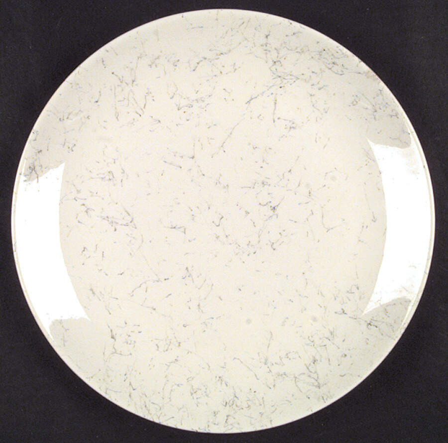 Spiderweb Luncheon Plate by Blue Ridge Southern Pottery-1