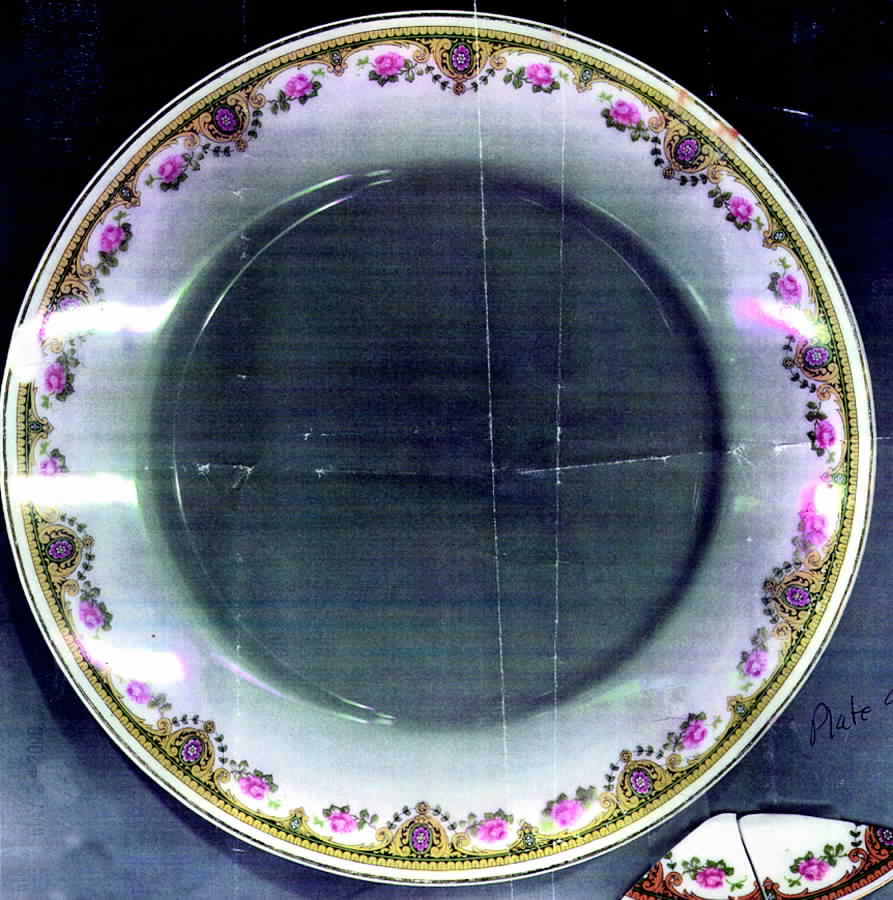 BOG30 Dinner Plate by George Borgfeldt-1