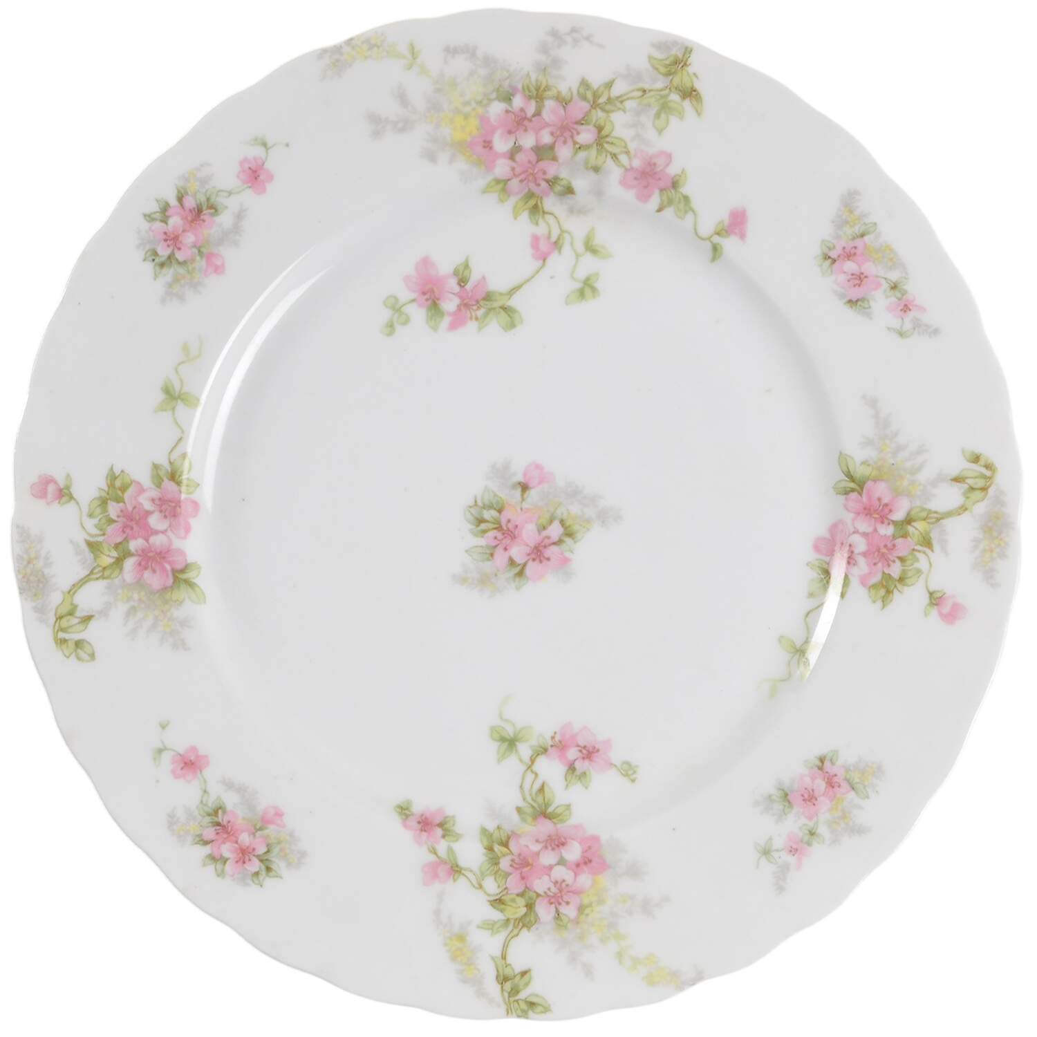 BWD223 Dinner Plate by Bawo & Dotter-1