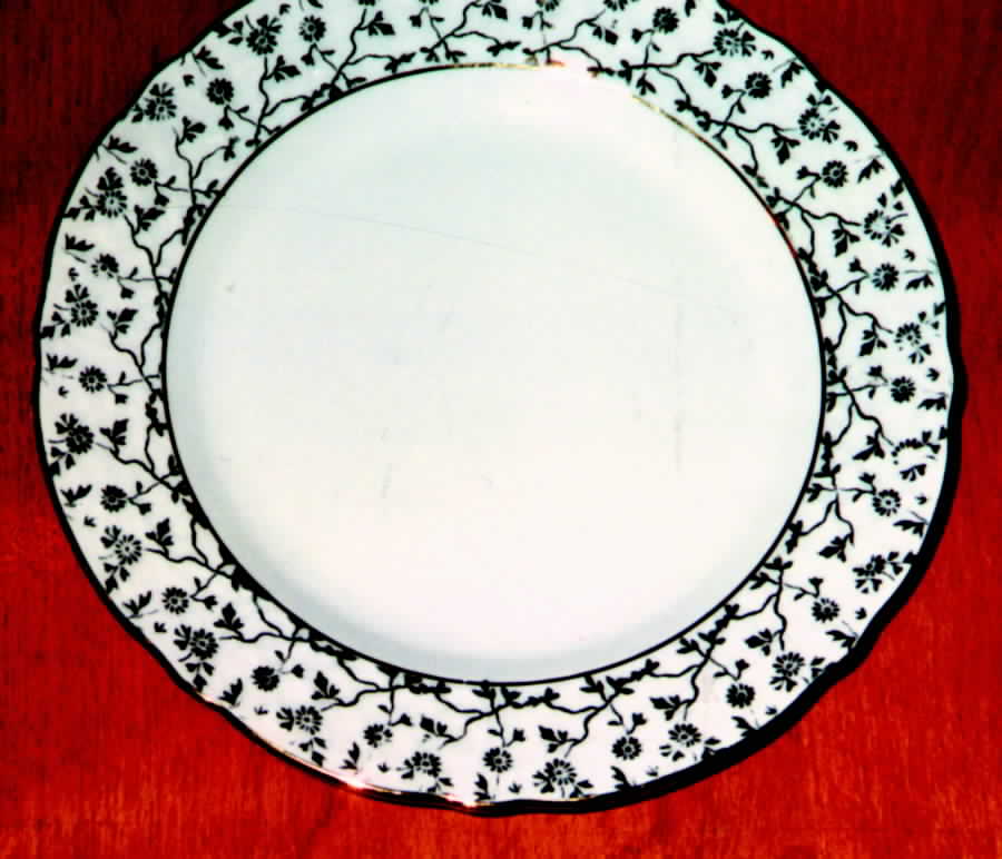BAV63 Dinner Plate by Bavaria-1