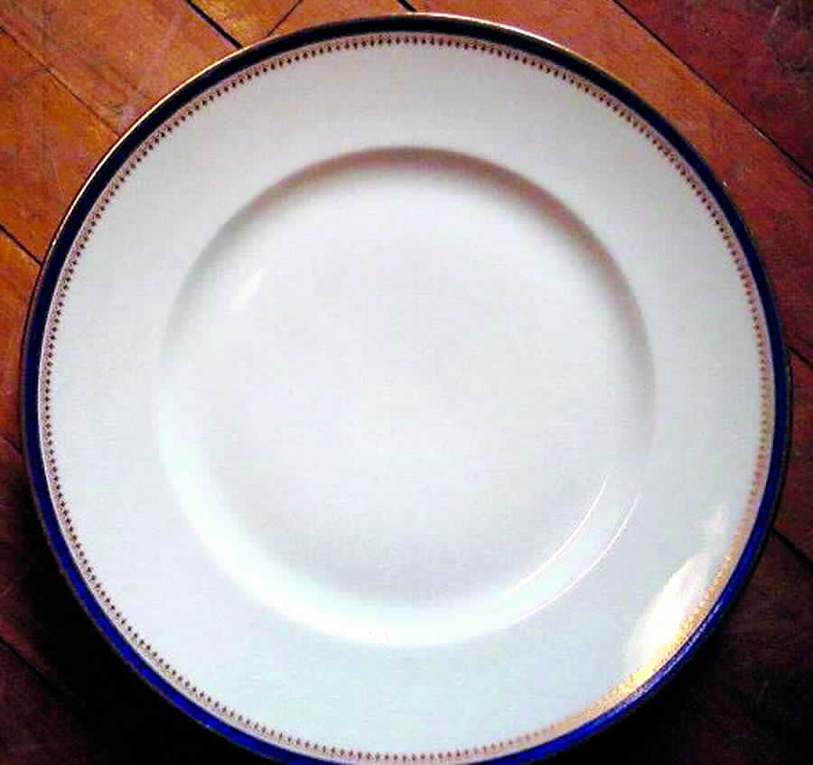 BER189 Dinner Plate by Bernardaud-1
