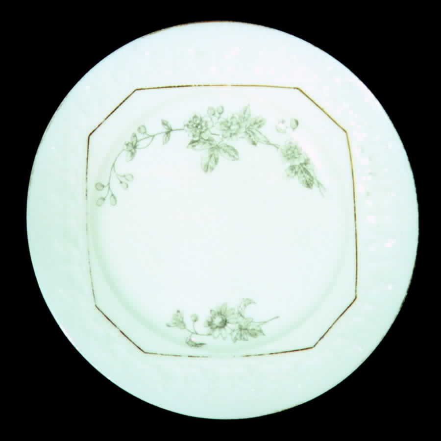 BWD232 Dinner Plate by Bawo & Dotter-1