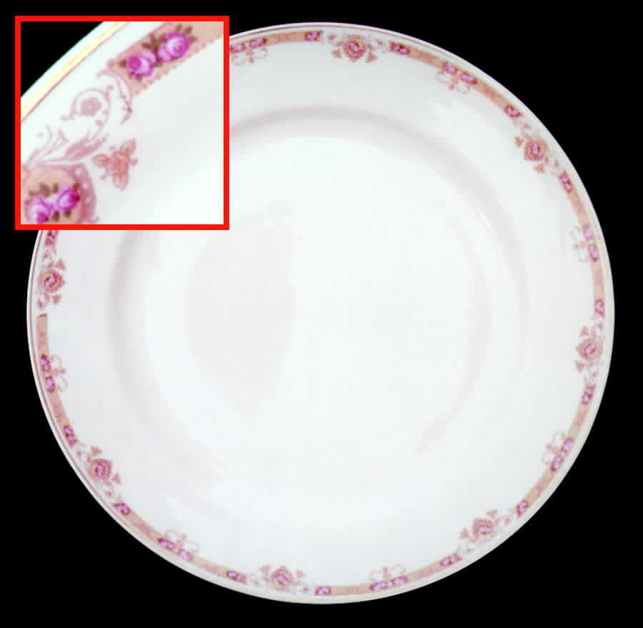 BWD235 Dinner Plate by Bawo & Dotter-1