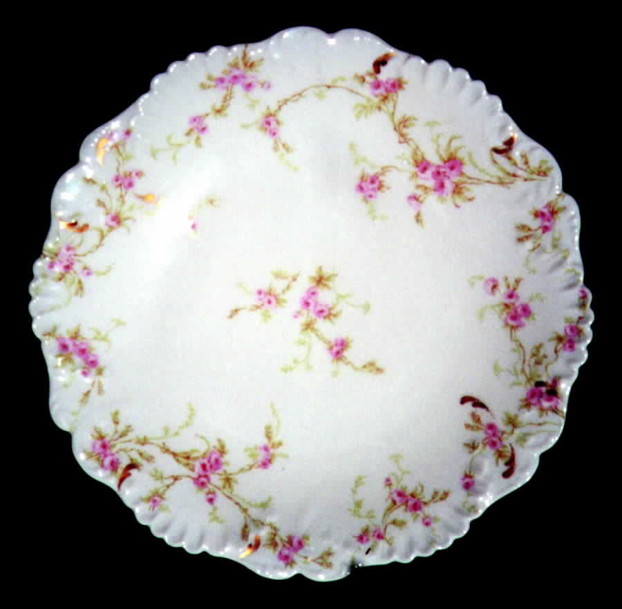 BWD236 Dinner Plate by Bawo & Dotter-1