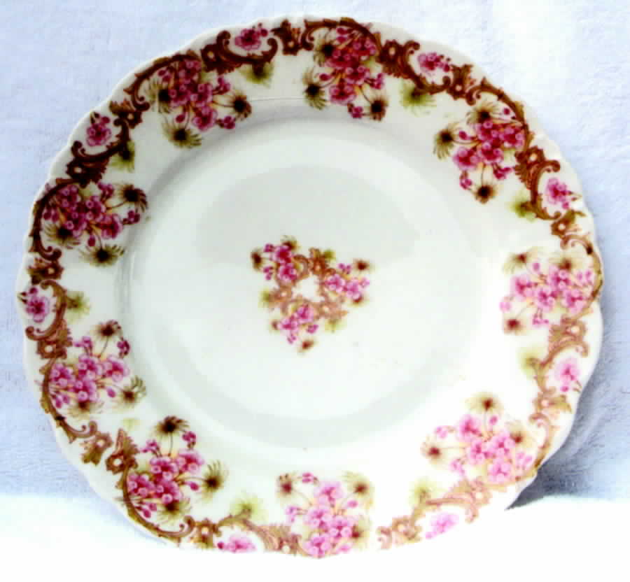 BWD239 Dinner Plate by Bawo & Dotter-1