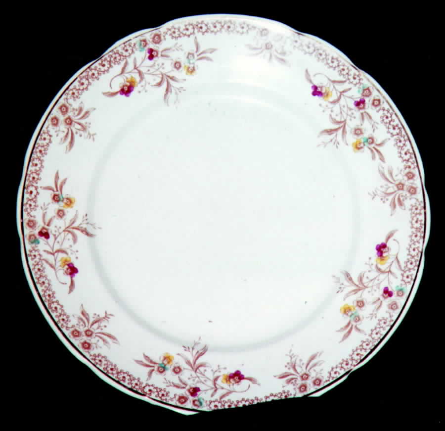 BIS8 Dinner Plate by Bishop & Stonier-1