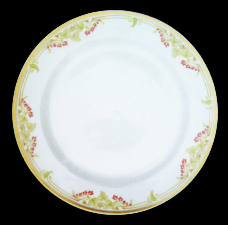 BWD242 Dinner Plate by Bawo & Dotter-1