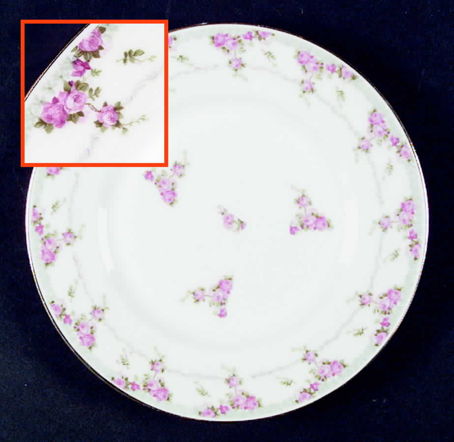 BER191 Salad Plate by Bernardaud-1