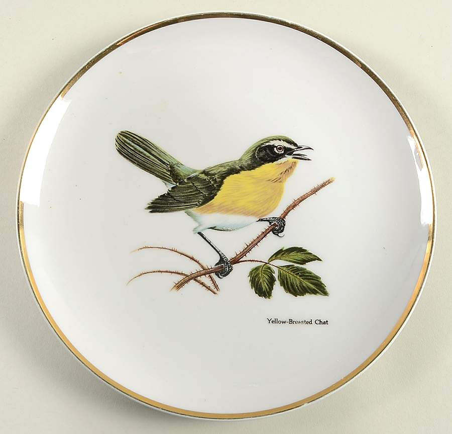 Cardinal Dinner Plate by Berkeley House-1