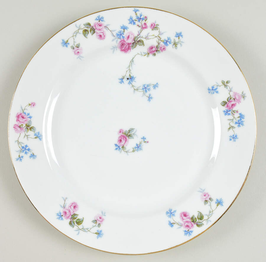 BWD250 Dinner Plate by Bawo & Dotter-1