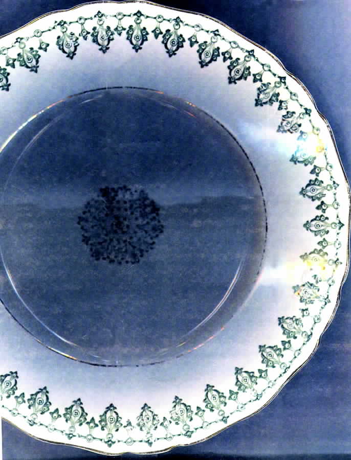 Ventnor Dinner Plate by Bassett-1