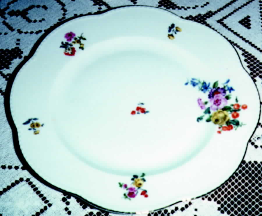 BAV69 Dinner Plate by Bavaria-1
