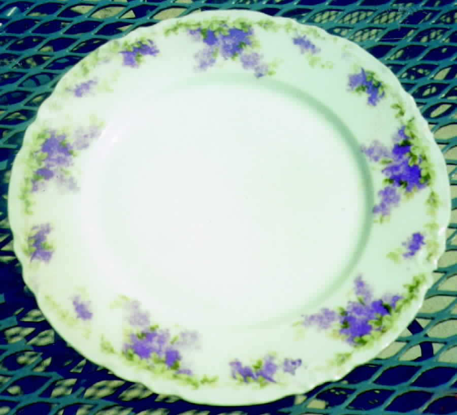 BAV82 Dinner Plate by Bavaria-1