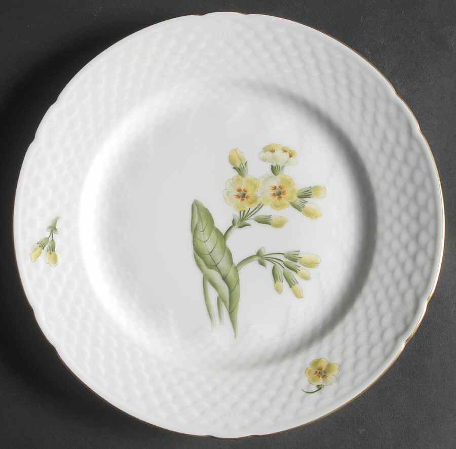 BIG20 Dinner Plate by Bing & Grondahl-1