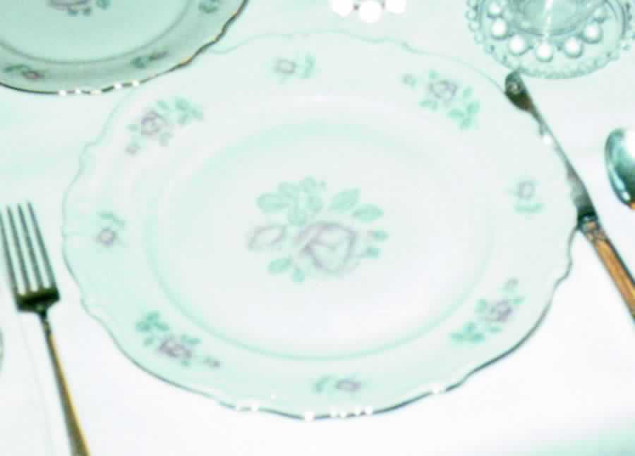 BAV89 Dinner Plate by Bavaria-1