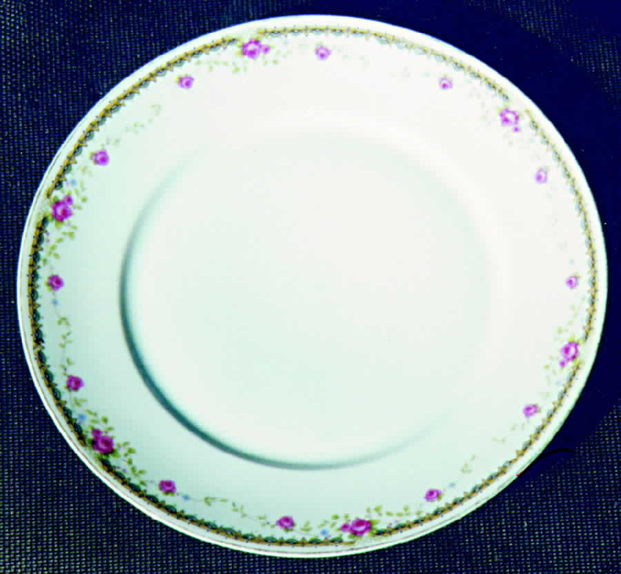 SCD173 Dinner Plate by Schonwald-1