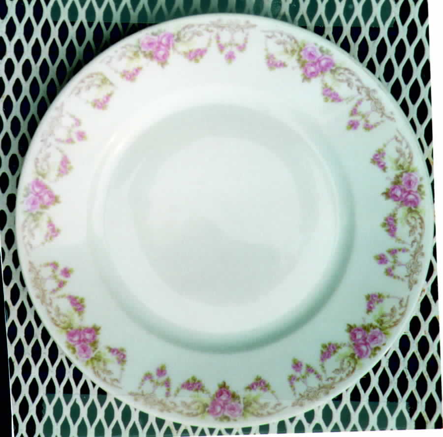 BAV93 Dinner Plate by Bavaria-1