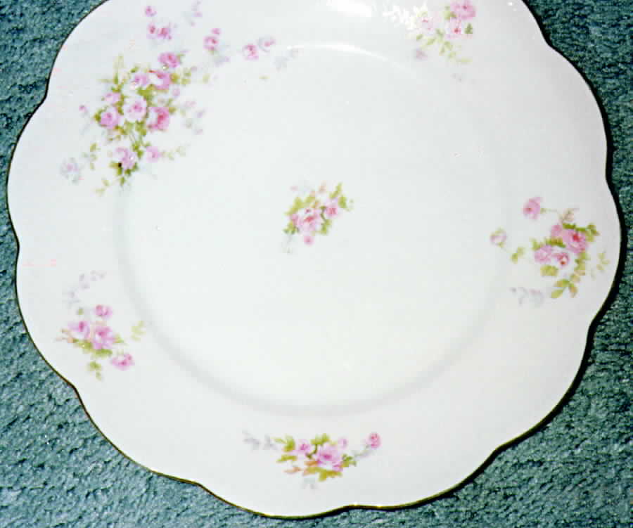 TIA17 Dinner Plate by Tiara (Bavaria)-1