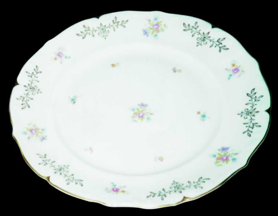 BAV97 Dinner Plate by Bavaria-1