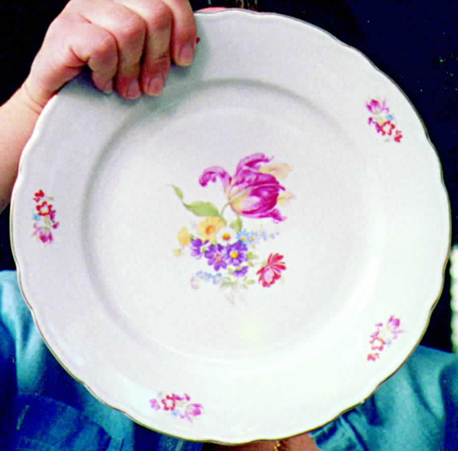 BAV98 Dinner Plate by Bavaria-1