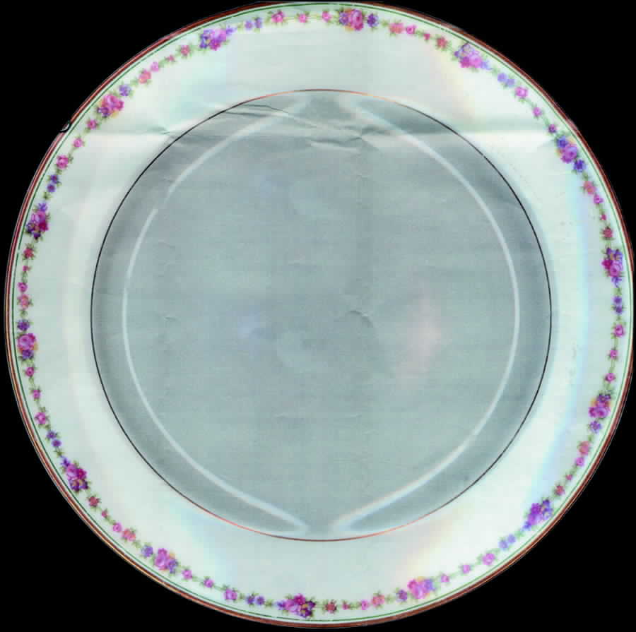 BWD264 Dinner Plate by Bawo & Dotter-1