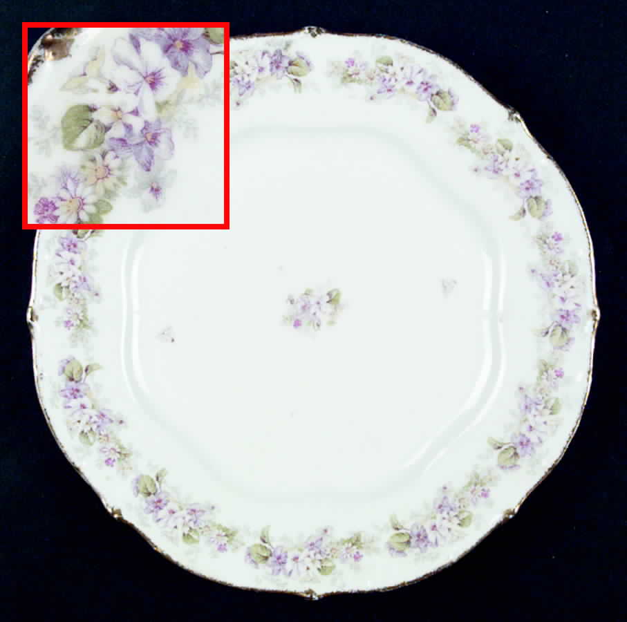 BWD265 Dinner Plate by Bawo & Dotter-1
