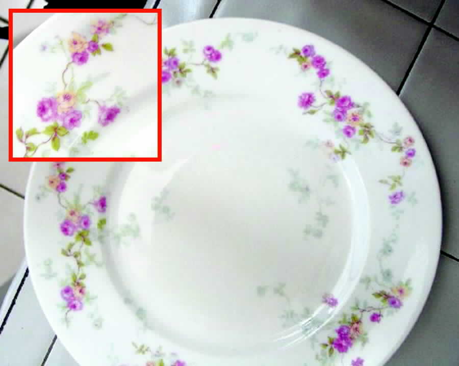 BER214 Dessert/Pie Plate by Bernardaud-1
