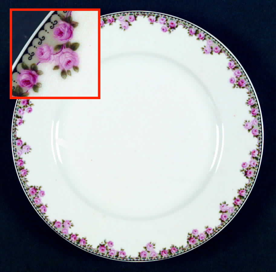 BBL2 Dinner Plate by B Bloch & Co-1