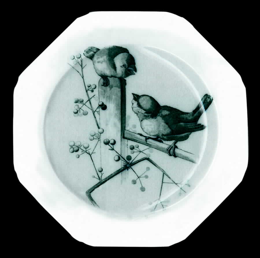 BWM6 Dinner Plate by Brown, Westhead & Moore-1