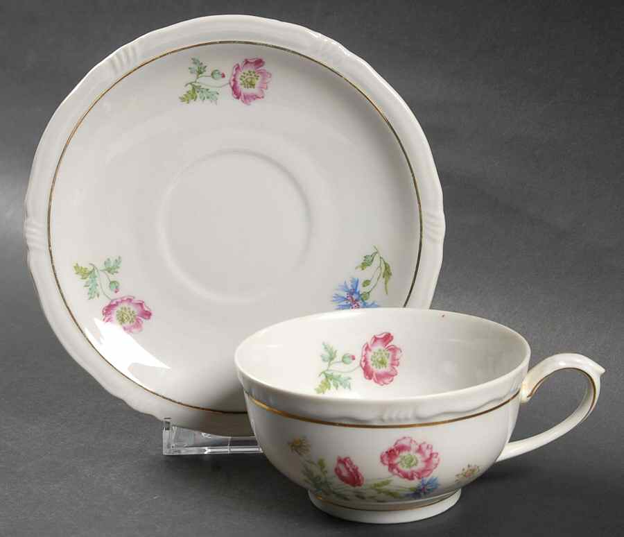 BTH85 Footed Cup & Saucer Set by Bareuther & Co-1