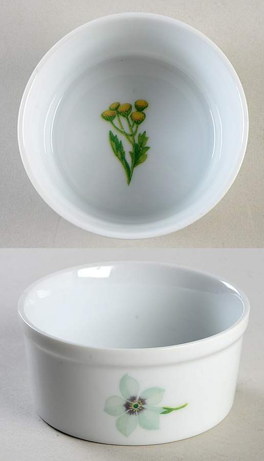 Botanica Ramekin by Georges Briard-1