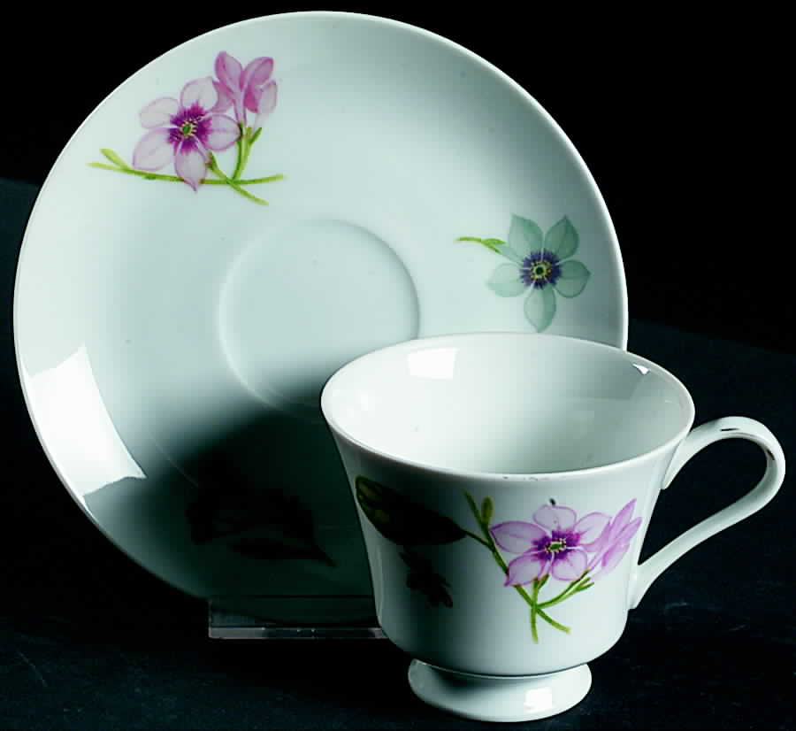Botanica Footed Cup & Saucer Set by Georges Briard-1