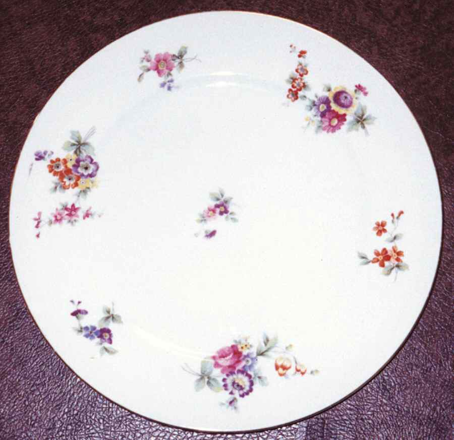 BAV115 Dinner Plate by Bavaria-1