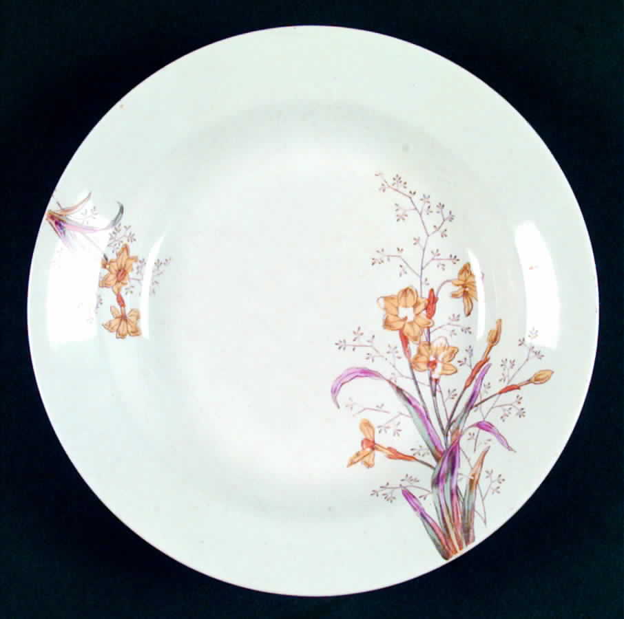 BRD7 Rim Soup Bowl by Bridgwood & Son-1