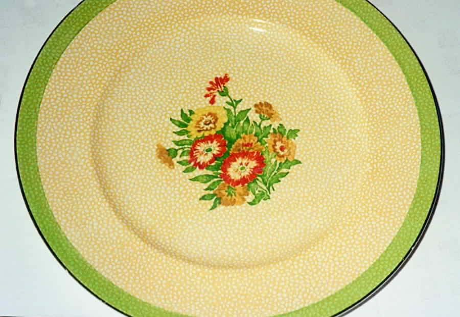 A4145 Dinner Plate by Booths-1