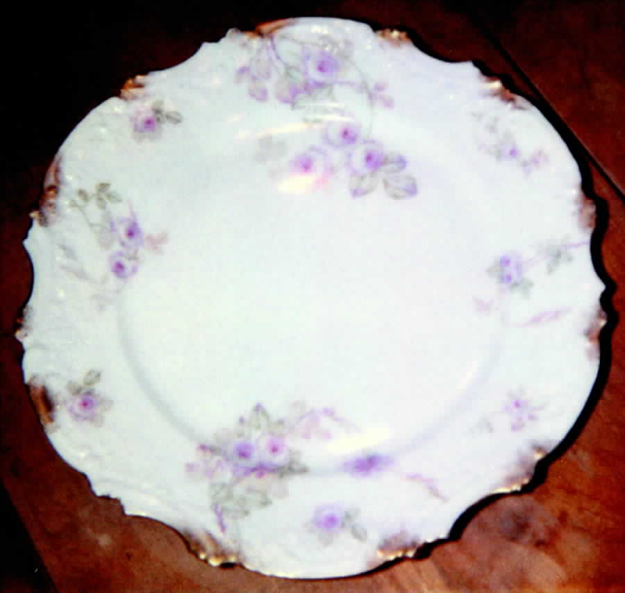 BWD284 Dinner Plate by Bawo & Dotter-1