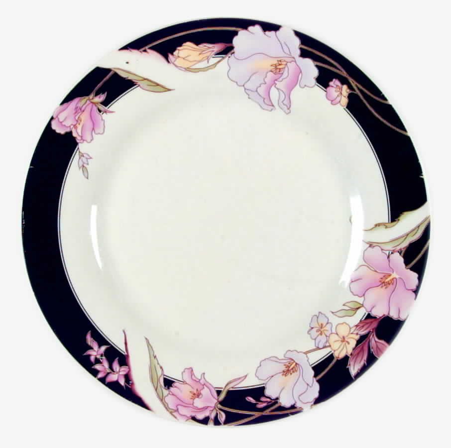 BUD3 Dinner Plate by Budlet-1