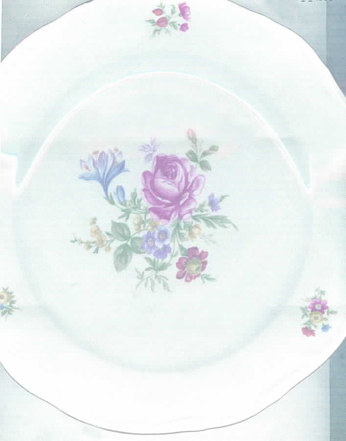 BTH86 Dinner Plate by Bareuther & Co-1