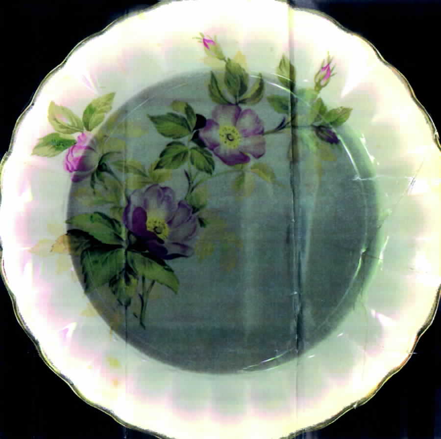 Tudor Rose Dinner Plate by British Empire Ware-1