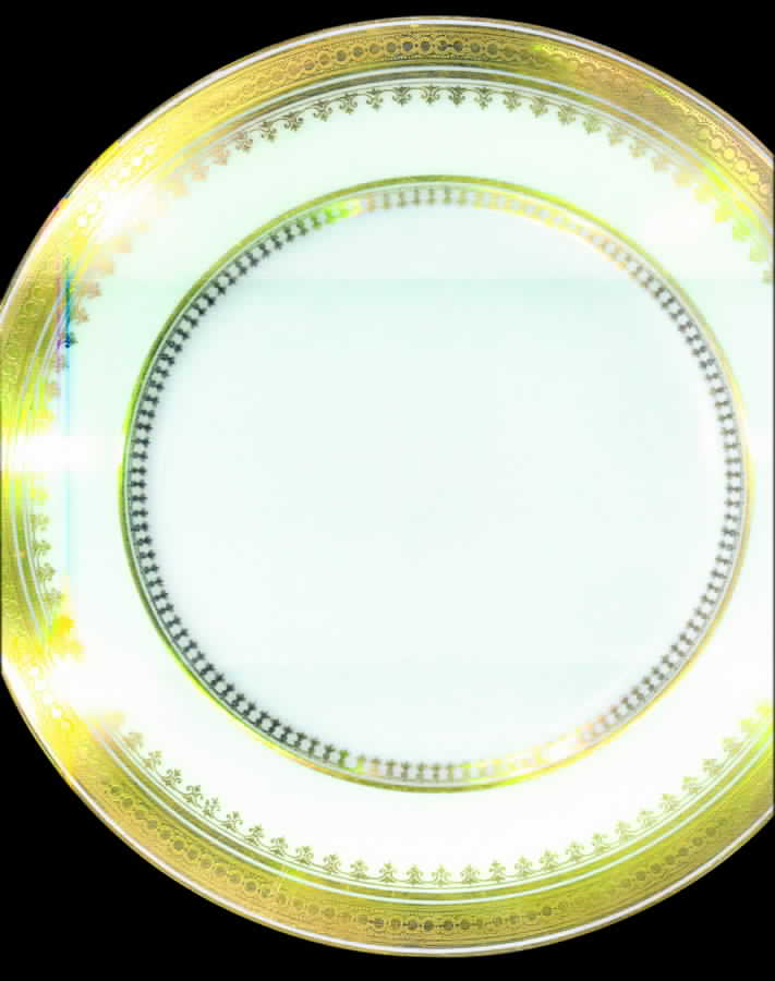 BER229 Dinner Plate by Bernardaud-1